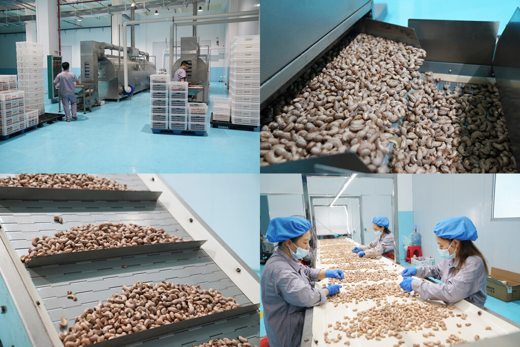 Guoxin nut factory cashew