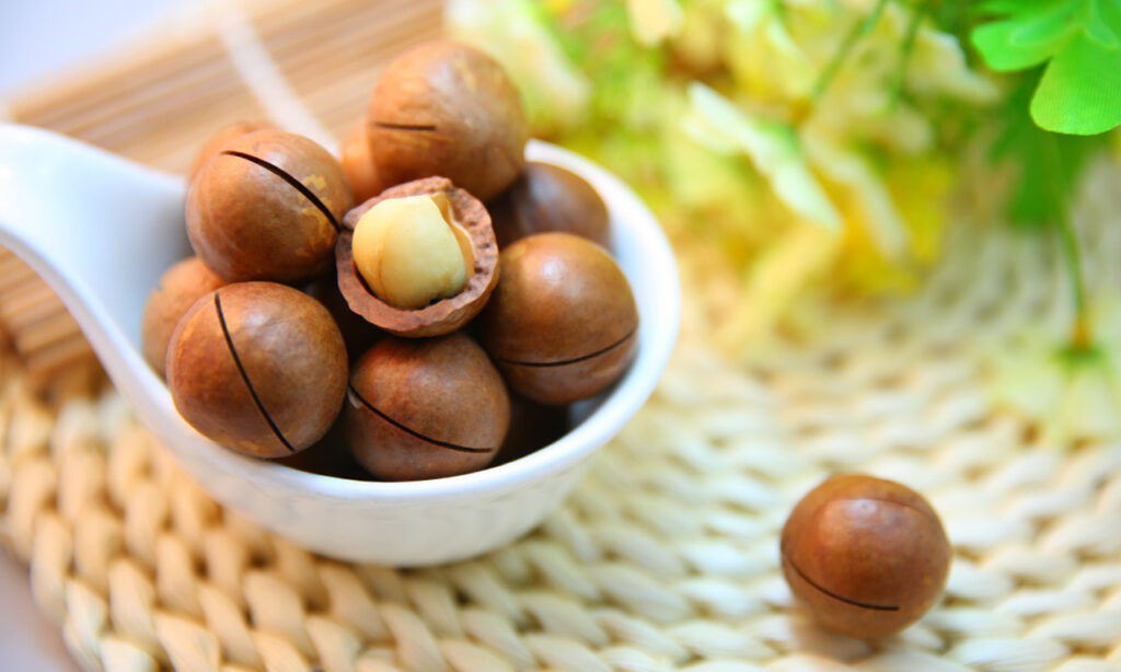 macadamia nuts